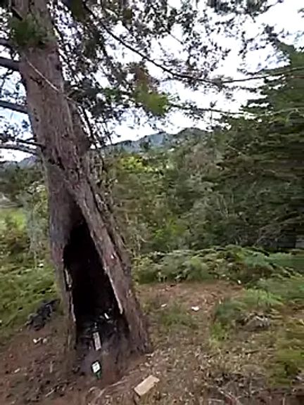 Sex_outside194