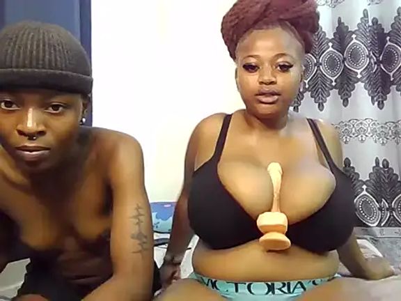 African_boobies