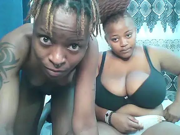 African_boobies