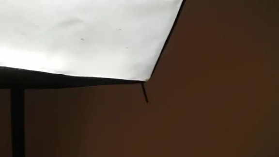 koral_27