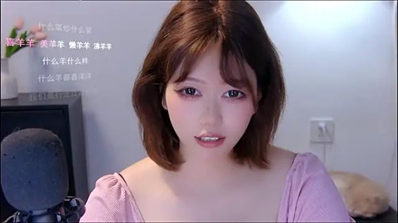 xiaomao-2026