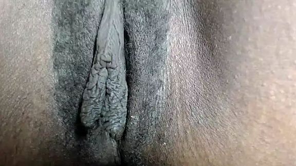 CocoaBelleX