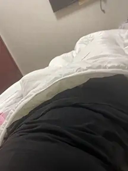 qxer666