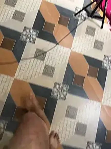 zaanbai