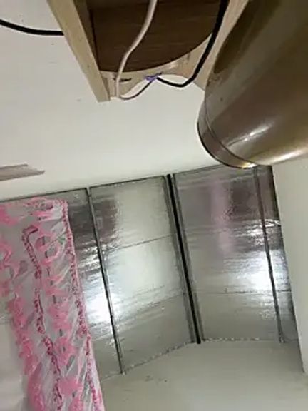 Aria_Maya