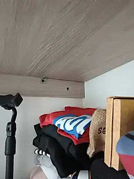 Tiger_cryad
