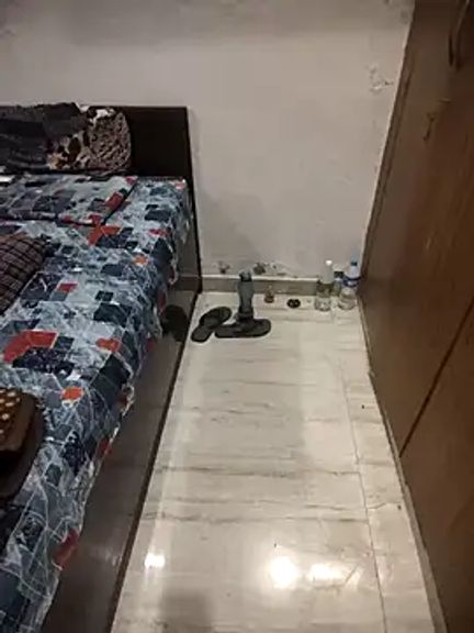 rango_licker