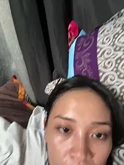 xlamina_