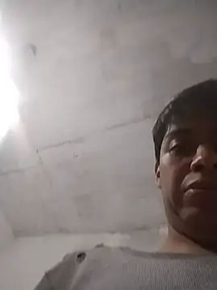 cocodrilo213