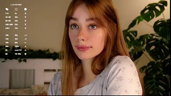 LittleTess
