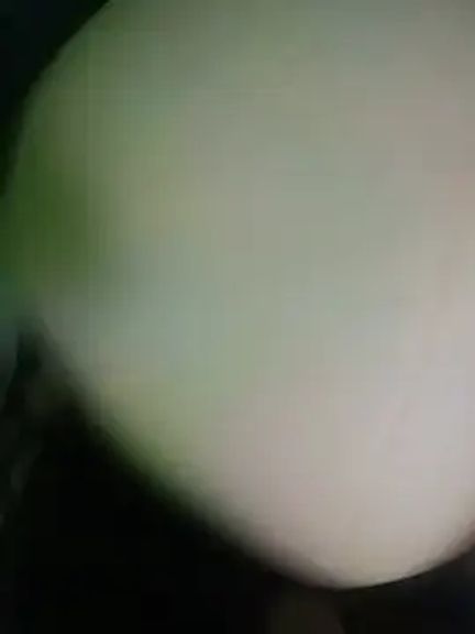 lingotexyvamp_