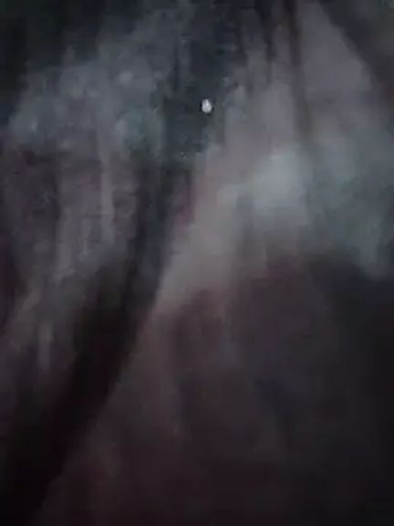 Pocahontas_Honey