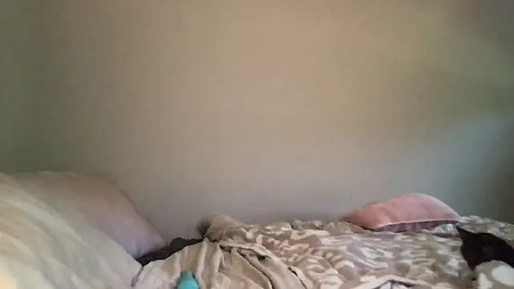 emiefox