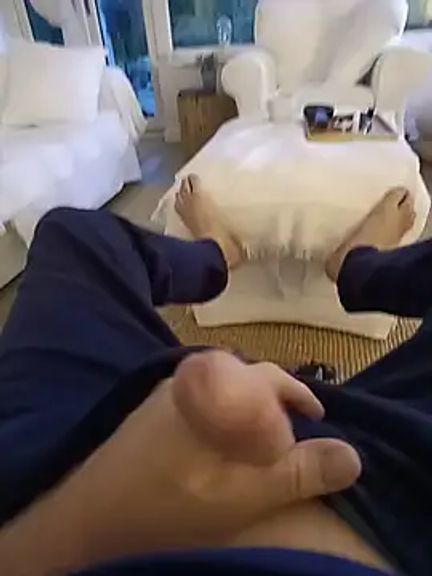 hamstercom3333