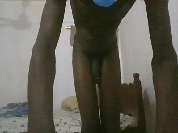 MaestroBbc_00