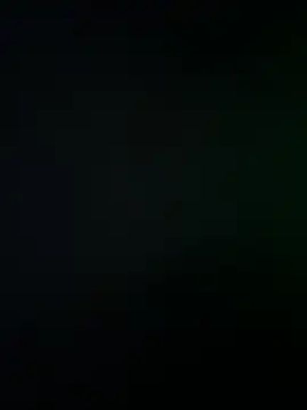 Alissssonferl_