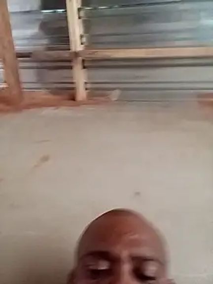 Bakshitt
