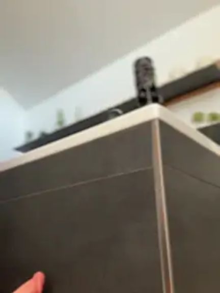 The_Rocket