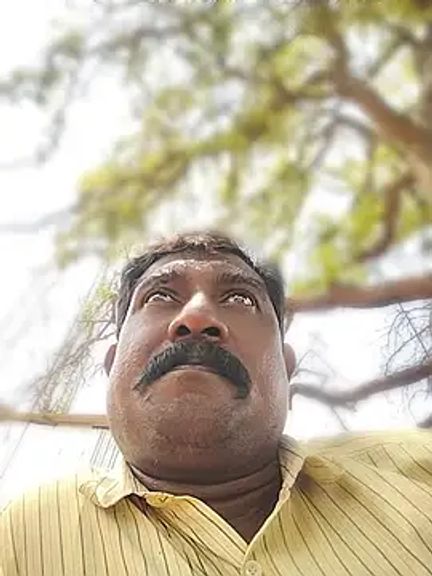ApposedBearingtamilnadu