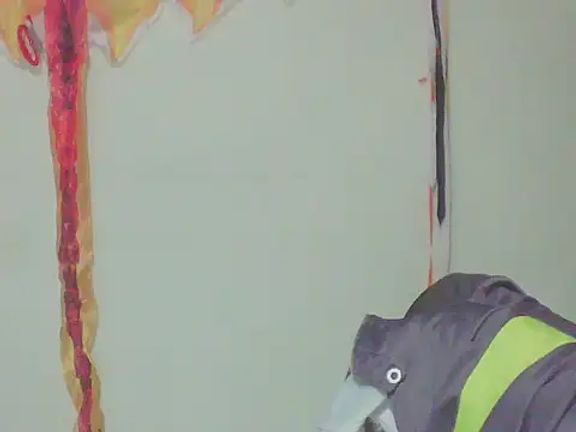 cacau_1977
