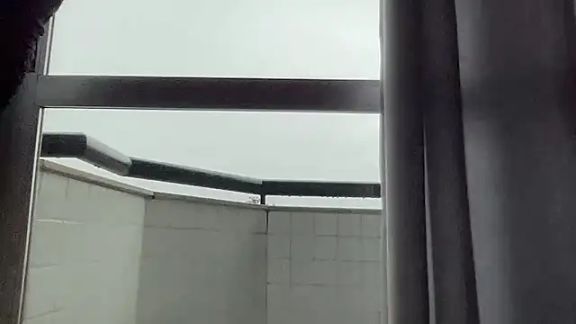 marriedbullbrazil