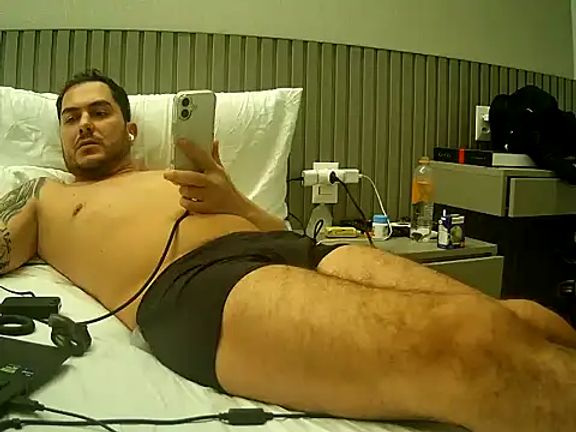 alphamodelo