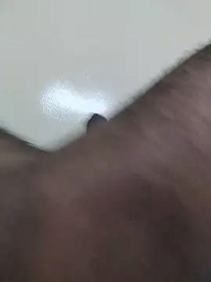tnj_njr