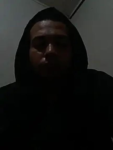 pandaMontana