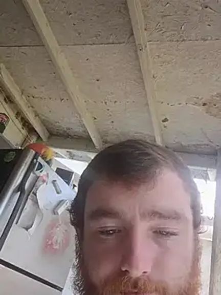 brandonblt232