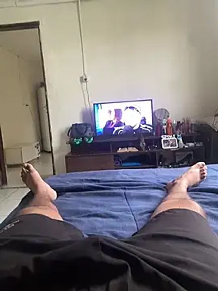 novinhodopaugraudo