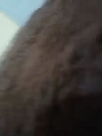 Binho24sex