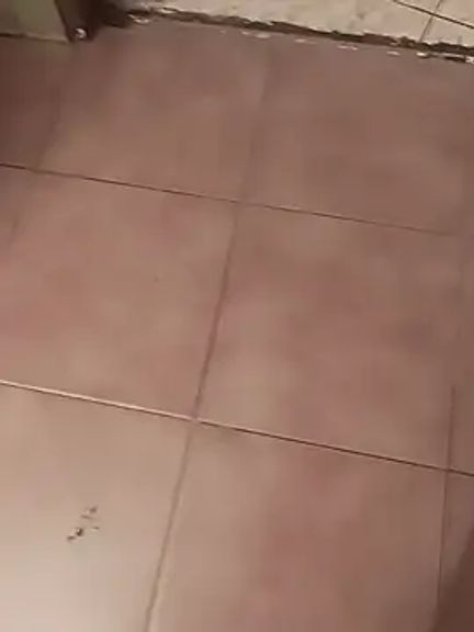 Parejitajuguetonaa
