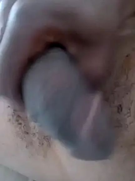 seeedy