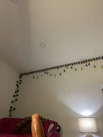 Charlotee_