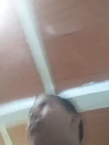 Verga18mondacon