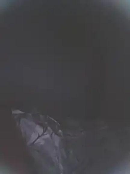 Elpadre33