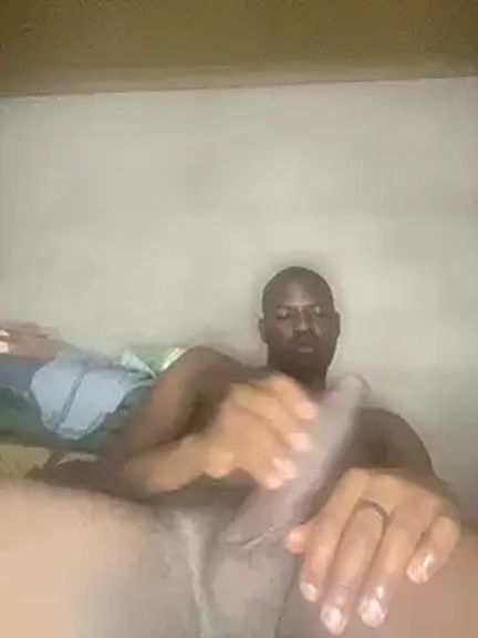 nightpapie2