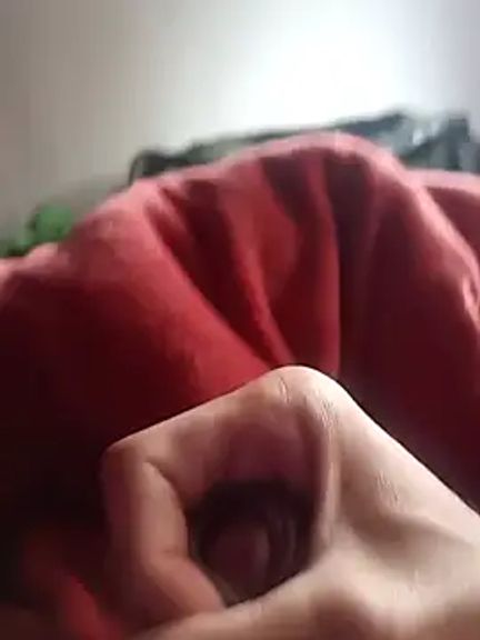 locoperonotanto3