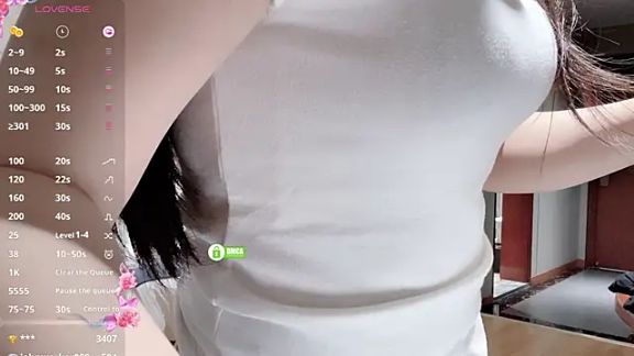 Kaixin520