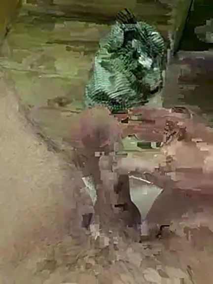CoupleLatex
