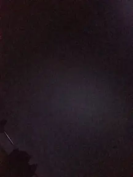 pauzaolis26