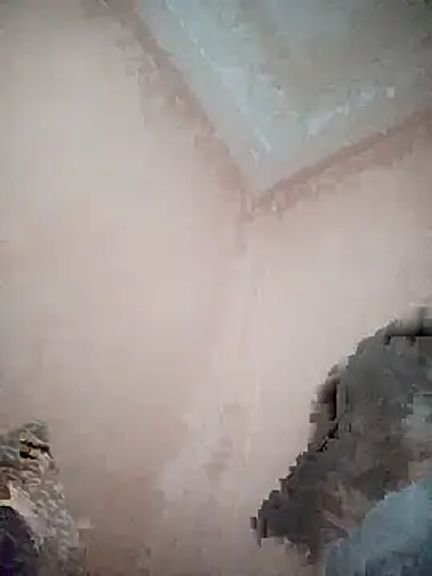 El_Pedro69