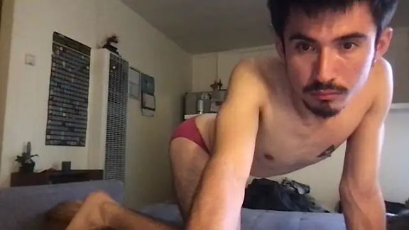 salvibaytwink