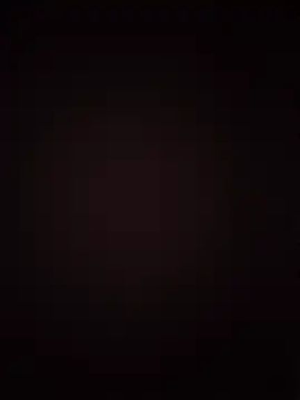 donflamingo12