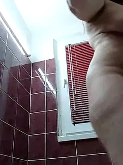 Viola_sweet_honey