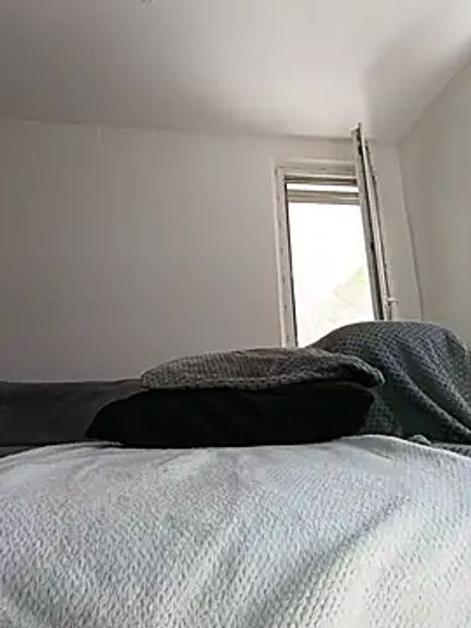 Viola_sweet_honey