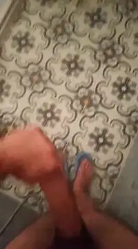 sexci253