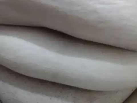 latinak9extreme