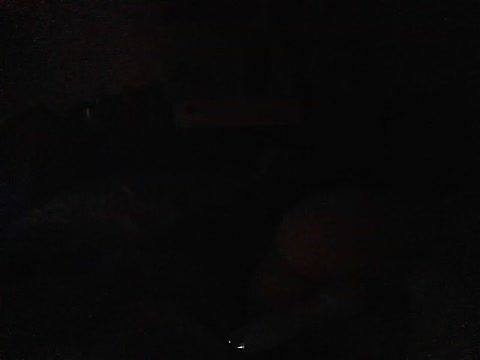 mydadandthebabysittertwoo