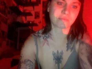 kittysplaypen1